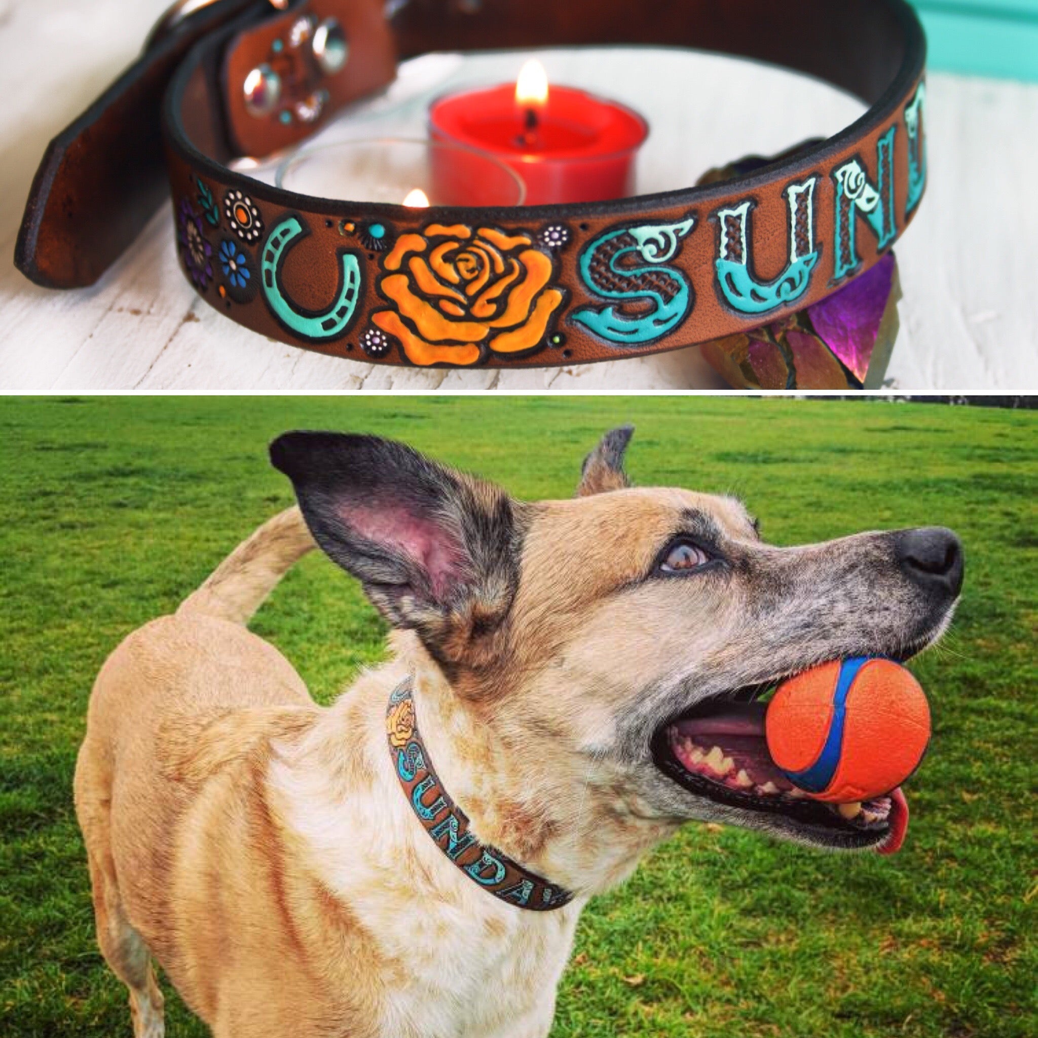 Custom collar for Paige & Donut