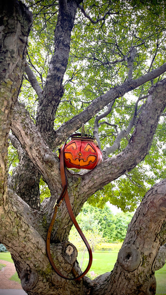 The Great Pumpkin Bag